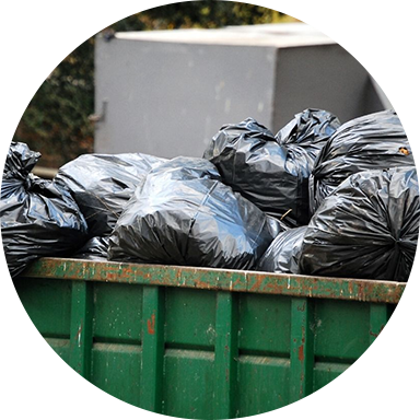 Where and when is trash picked up?